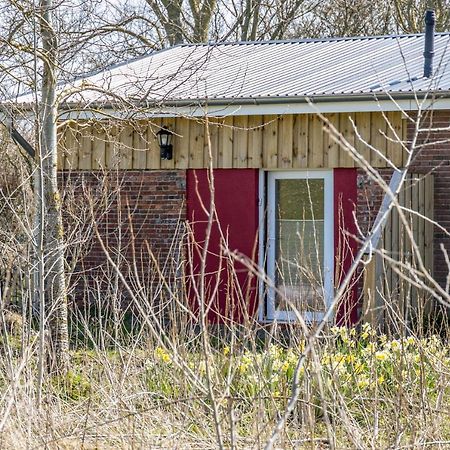 Deichgraf 1 Lejlighed Friedrichskoog Eksteriør billede