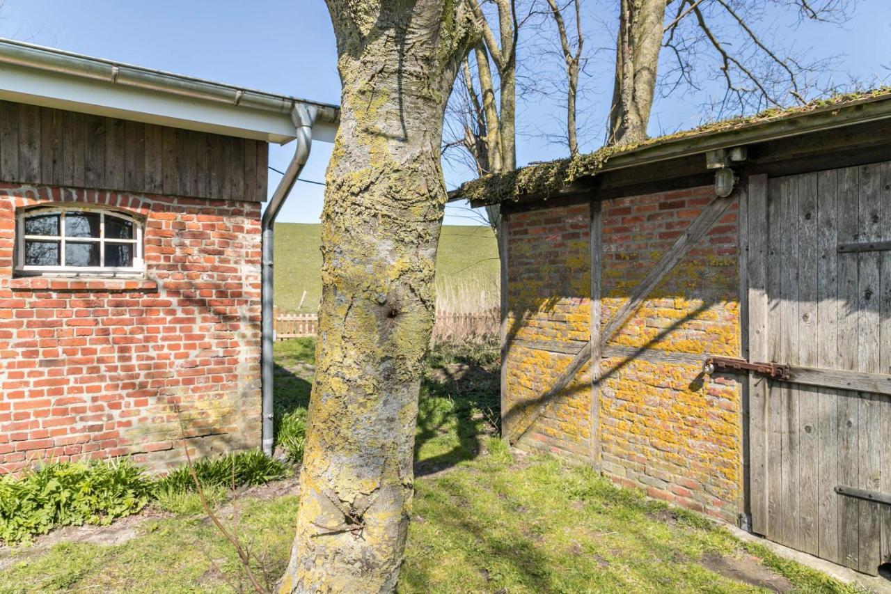 Deichgraf 1 Lejlighed Friedrichskoog Eksteriør billede