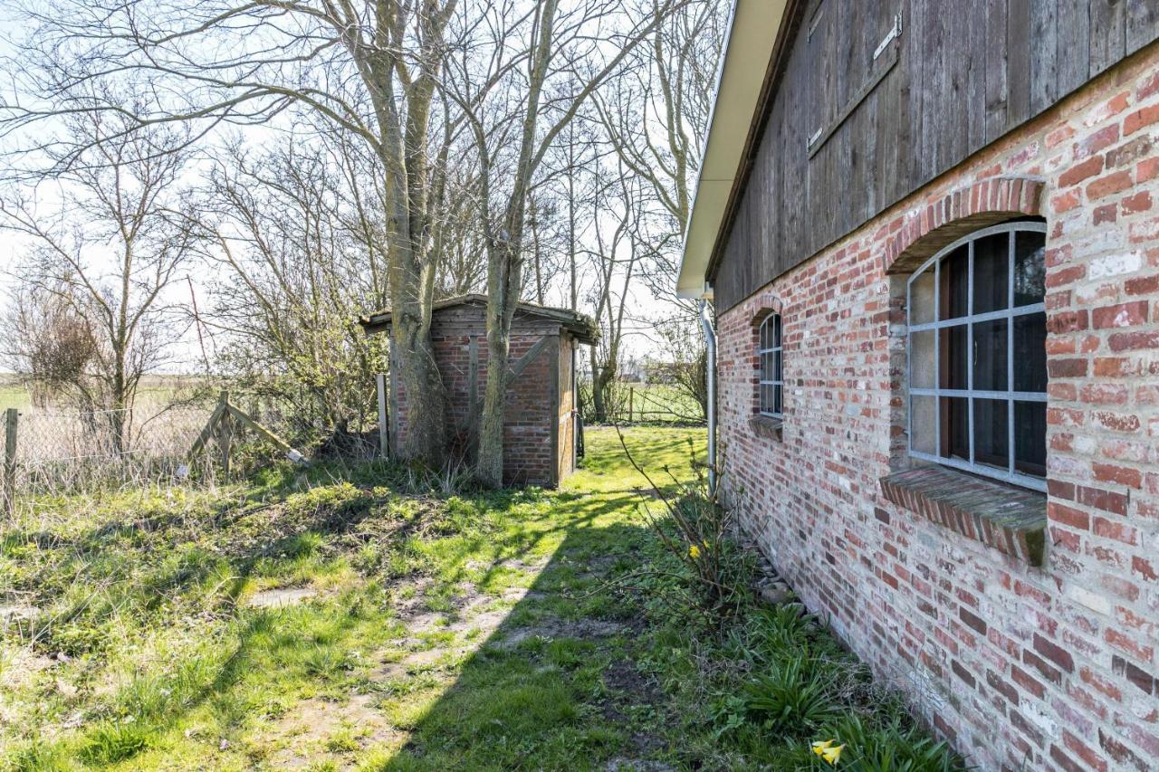 Deichgraf 1 Lejlighed Friedrichskoog Eksteriør billede